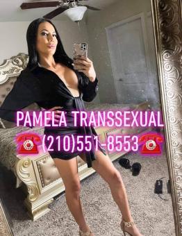 Pamela transsexual (210)551, 25